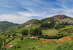 Ooty